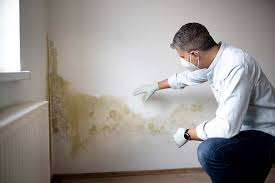 Mold Remediation for Vacation Homes in Newton, IA